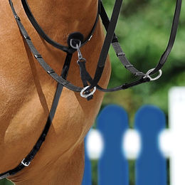 Passier Martingal aus Leder mit Gummistopper in Braun oder Schwarz – Bild 1 von 2