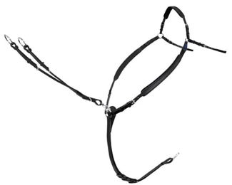 Produktbild von Passier PassierBlue Easy Vorderzeug für Pferde unterfüttert schwarz Einheitsgröße