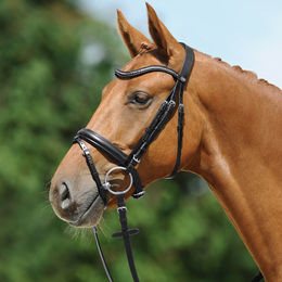 Passier Pony Trense Juno in Schwarz mit Edelstahlbeschlägen – Bild 1 von 6