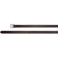 Produktbild von Passier Steigbügelriemen aus Leder 25 mm Havanna 170 cm
