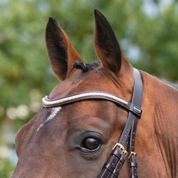 Produktbild von Passier Stirnriemen geschwungen aus Leder für Juno Trense Pony in Schwarz oder Braun