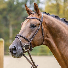 Passier Trense Fly High für Ponys mit Edelstahlgebiss in Schwarz oder Braun – Bild 1 von 4