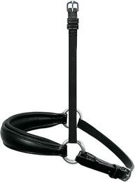 Passier Wechsel-Reithalfter Hannoversch aus Leder für Vollblut in Schwarz oder Braun – Bild 1 von 2