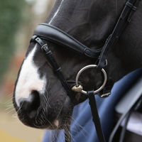 Produktbild von Passier Wechselnasenriemen aus Leder mit Jochbeinfreiheit für Warmblut in Schwarz