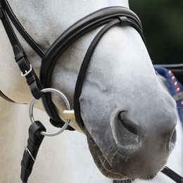 Produktbild von Passier Wechselnasenriemen Englisch kombiniert aus Leder in Schwarz für Warmblut