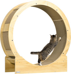 Patootie Fruitie Katzenlaufrad mit Bremse und Kratzbaum aus Eiche 91 cm – Bild 1 von 1