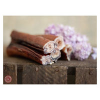 Produktbild von Paul & Paulina Ochsenziemer Mini Kausnack für Hunde mit hohem Fleischanteil 10 Stück 12 cm - 10 x 12 cm