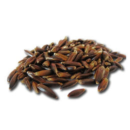 Pavo Cereals entpelzter Schwarzhafer Einzelfuttermittel 20 kg - 20 kg – Bild 1 von 8