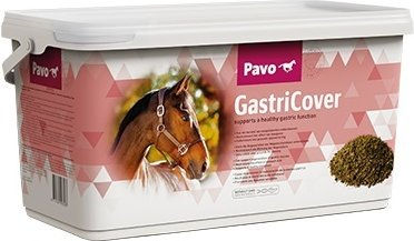 Produktbild von Pavo GastriCover Ergänzungsfutter für die Magen-Darm-Verdauung mit Probiotika