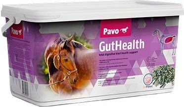 Produktbild von Pavo GutHealth Ergänzungsfutter für Magen und Darm