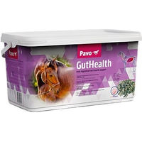 Produktbild von Pavo GutHealth Ergänzungsfutter für Magen und Darm