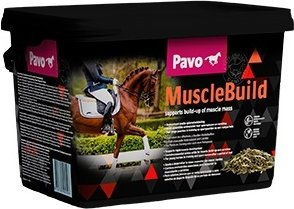 Produktbild von Pavo MuscleBuild Ergänzungsfutter für Pferde Junior zur Unterstützung von Muskelaufbau und Sportleistung