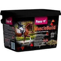 Produktbild von Pavo MuscleBuild Ergänzungsfutter für Pferde Junior zur Unterstützung von Muskelaufbau und Sportleistung