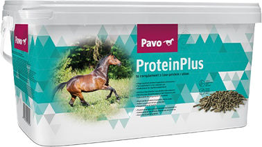 Pavo ProteinPlus Pferdefutter Ergänzungsfutter für Muskelaufbau und Immunsystem 7 kg - 7 kg – Bild 1 von 8