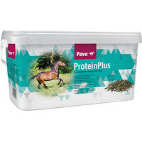 Produktbild von Pavo ProteinPlus Pferdefutter Ergänzungsfutter für Muskelaufbau und Immunsystem 7 kg - 7 kg