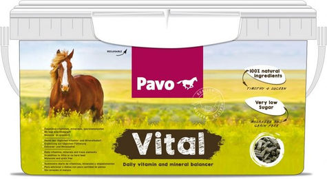 Produktbild von Pavo Vital Mineralfutter Ergänzungsfutter für Freizeitpferde