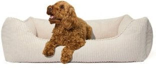 PAW WOW Hundebett Anton Orthopädisches Hundekörbchen aus Cord in Beige Größe M – Bild 1 von 4