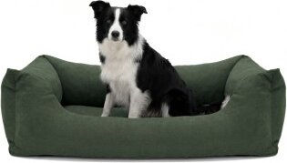 PAW WOW Hundebett EMMA Olive mit Memory Foam und OEKO-TEX STANDARD 100 in Grün – Bild 1 von 3