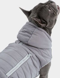 PAW WOW Hundejacke IMMI Wintermantel für Hunde Grau Größe L - 1 Stk. – Bild 1 von 8