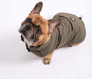PAW WOW Hundejacke Toni Winter Hundemantel wasserdicht Grün XXL - 1 Stk. – Bild 1 von 8