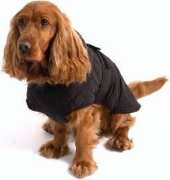 PAW WOW Hundemantel Fritz Winterjacke für kleine Hunde Schwarz S – Bild 1 von 11