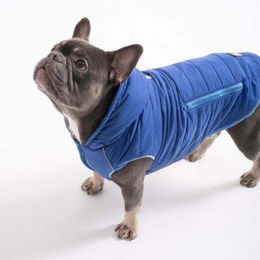 PAW WOW IMMI Hundejacke Hundemantel aus Polyester Blau Größe M - 1 Stk. – Bild 1 von 11