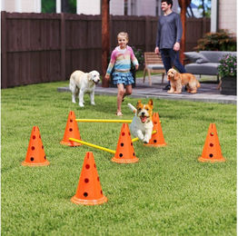 PawHut Agility-Set für Hunde aus Kunststoff mit Kegeln und Stangen in Orange – Bild 1 von 5
