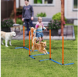 PawHut Agility Set für Hunde mit Hürde und Slalomstangen aus Oxford-Gewebe in Orange – Bild 1 von 4