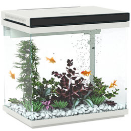 PawHut Aquarium 26 Liter Einsteigerbecken mit LED-Beleuchtung und Filtersystem in Weiß – Bild 1 von 4