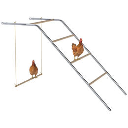 PawHut Hühner Spielgerüst aus Holz mit Schaukel und Hühnerstangen in Silber – Bild 1 von 13