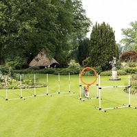 Produktbild von PawHut Hunde Agility Set Trainingsset aus Kunststoff mit Tasche in Weiß Gelb Blau