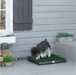 PawHut Hundetoilette für Welpen aus Kunststoff Grün-Schwarz 63 x 51 x 6 cm – Bild 1 von 5