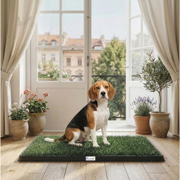 PawHut Hundetoilette für Welpen mit 2 Kunstrasenmatten 76 x 50,5 cm – Bild 1 von 5