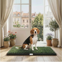 Produktbild von PawHut Hundetoilette für Welpen mit 2 Kunstrasenmatten 76 x 50,5 cm