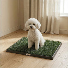 PawHut Hundetoilette mit 2 Kunstrasen für Welpen und Hunde 63 x 50,5 cm – Bild 1 von 5