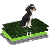 Produktbild von PawHut Hundetoilette mit Kunstrasen und Tablett zum Töpfchentraining für Welpen und kleine Hunde in Grün