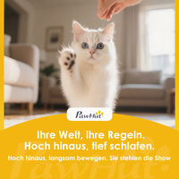 Produktbild von PawHut Hundetreppe 3 Stufen mit Sisal Kratzsäulen und Spielball für kleine Hunde und Katzen Grau