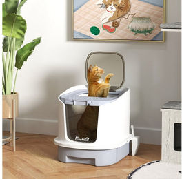 PawHut Katzentoilette mit Deckel und Top-Entry Eingang für Katzen, Grau – Bild 1 von 5
