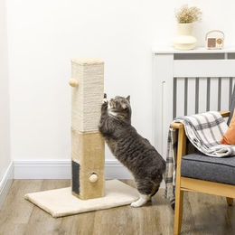 PawHut Kratzbaum für Katzen 79 cm hoch mit Sisalseil und Spielball in Beige – Bild 1 von 6