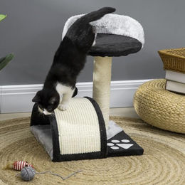 PawHut Kratzbaum für Katzen mit Sisalseil und Spielbällen Schwarz Grau – Bild 1 von 13