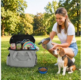 PawHut Tiertransportbox für Hunde und Katzen mit Futterbehältern und Silikonschüssel Hellgrau 38 x 17 x 35 cm – Bild 1 von 5