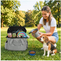 Produktbild von PawHut Tiertransportbox für Hunde und Katzen mit Futterbehältern und Silikonschüssel Hellgrau 38 x 17 x 35 cm