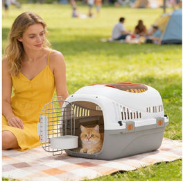 PawHut Transportbox für Katzen und Miniaturhunde bis 4 kg mit Dachöffnung und Futternapf Hellgrau – Bild 1 von 5