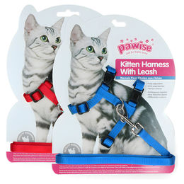 Pawise Kätzchengeschirr mit Leine Rot/Blau Größe L – Bild 1 von 5