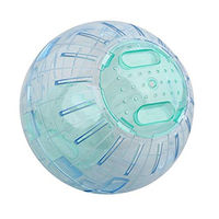 Produktbild von PAWISE Spielzeug Ball für kleine Tiere aus Kunststoff 13 cm bunt und transparent