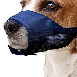 Pawise Verstellbarer Maulkorb aus Nylon Größe XS – Bild 1 von 5