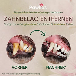 Pawlie's Zahnpasta für Hunde und Katzen ohne Farb- und Aromastoffe 50ml - 50 ml – Bild 1 von 2