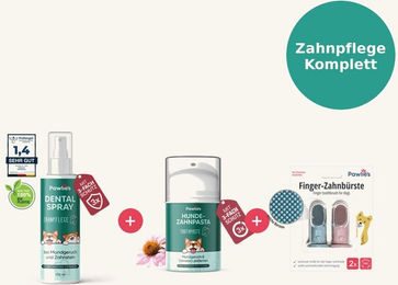 Pawlie's Zahnpflege-Set aus Silikon in Grün – Bild 1 von 4