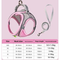 Produktbild von Pawly Hundegeschirr für Welpen Rosa Reflektierend und Atmungsaktiv Größe S