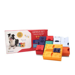 Produktbild von Pawzler Genius Set Intelligenzspielzeug aus Kunststoff für alle Altersstufen und Größen in Bunt